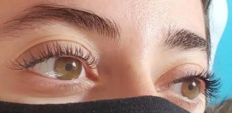 Brows_14_before