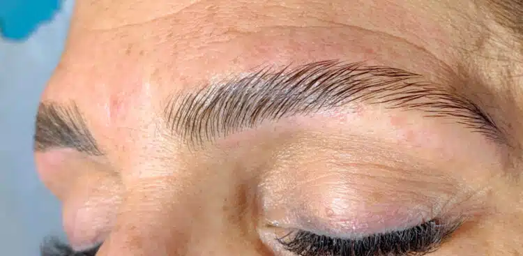 Brows_17_after