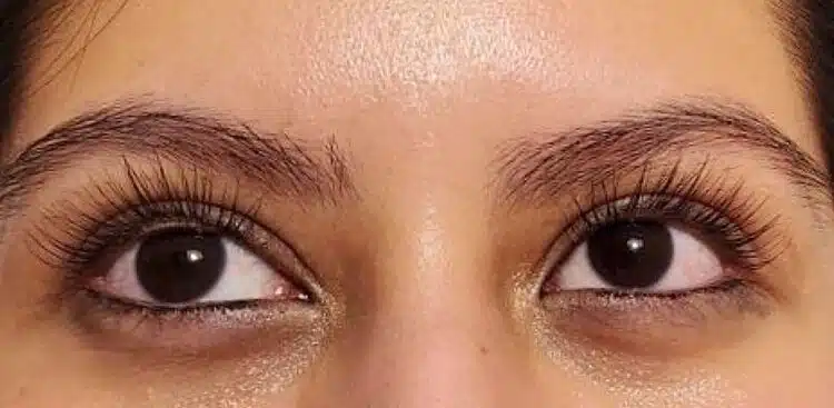 Lash_Lift_6_after